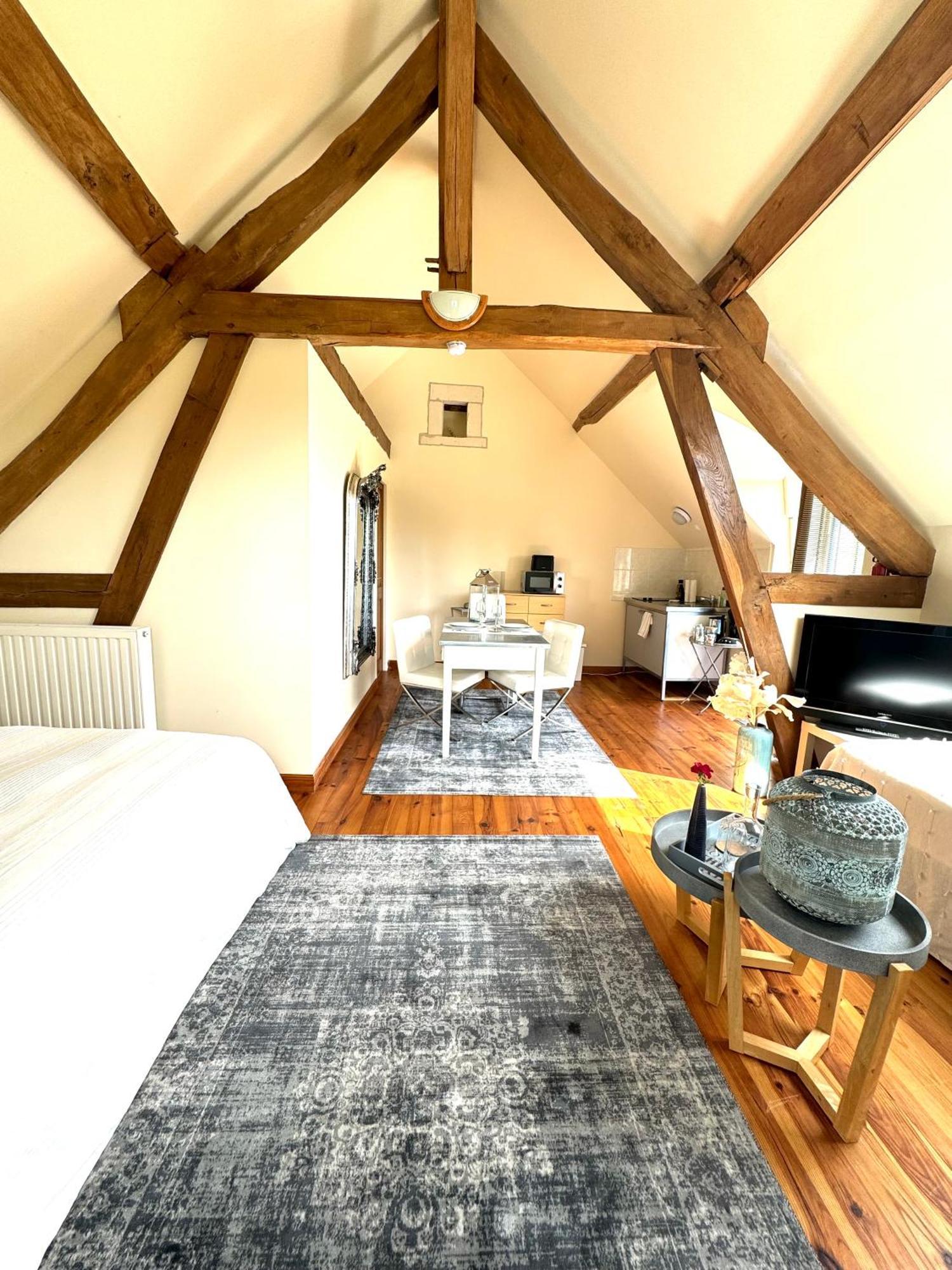 Le Moulin D Olivet Bed & Breakfast Orbigny Exterior foto