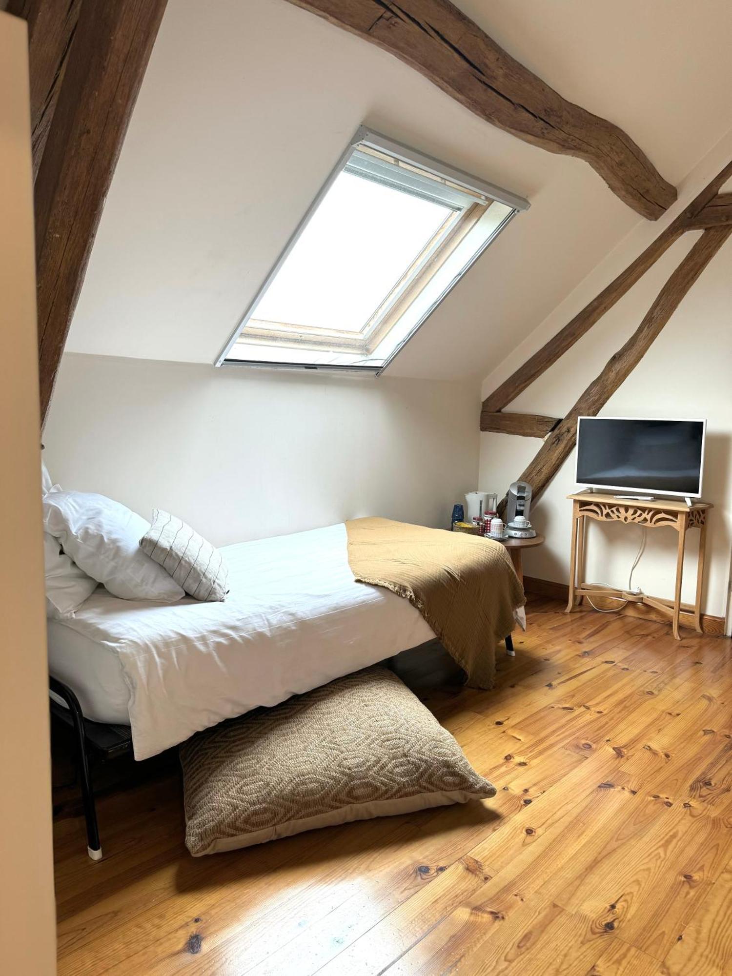Le Moulin D Olivet Bed & Breakfast Orbigny Exterior foto
