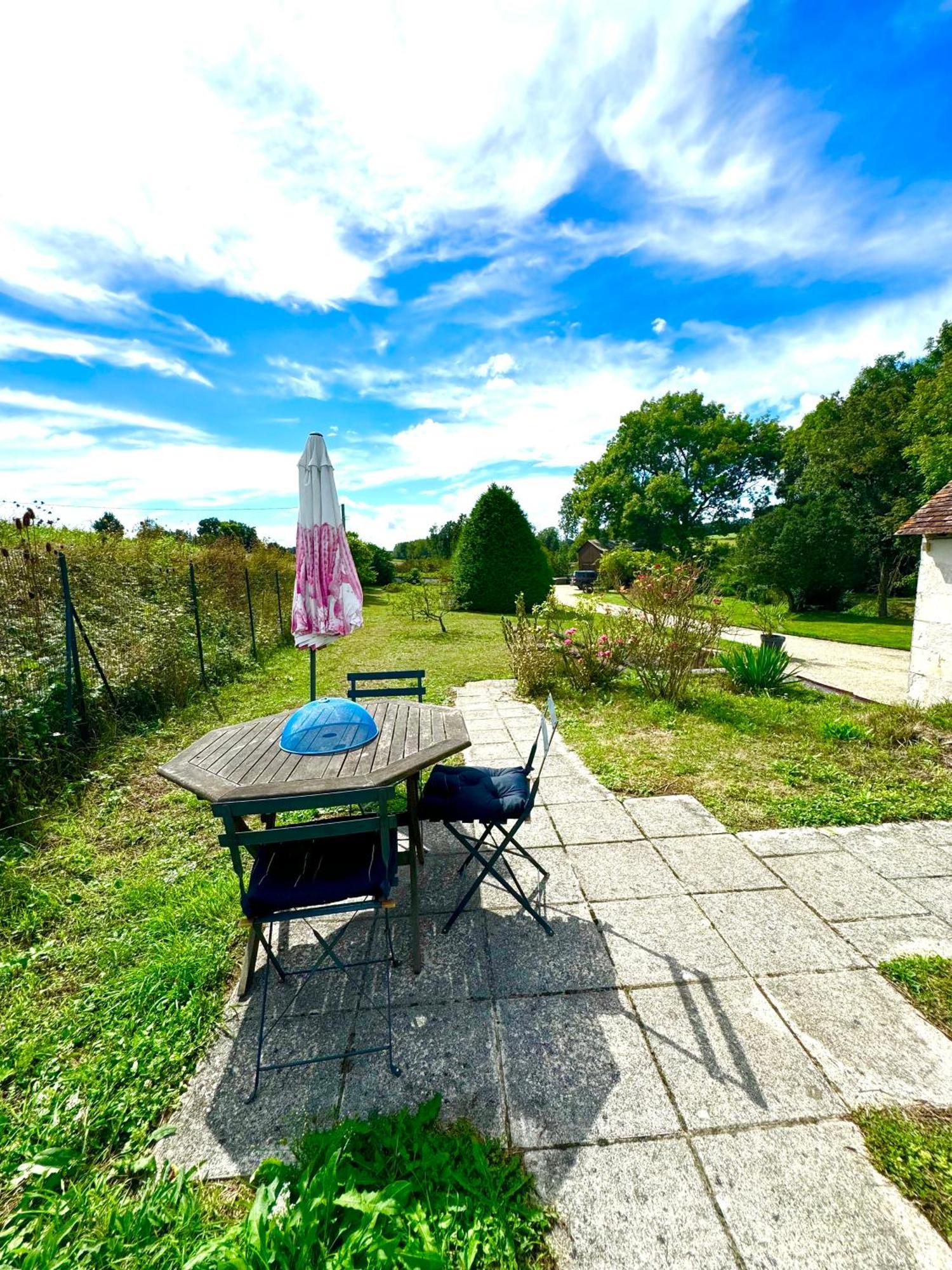 Le Moulin D Olivet Bed & Breakfast Orbigny Exterior foto