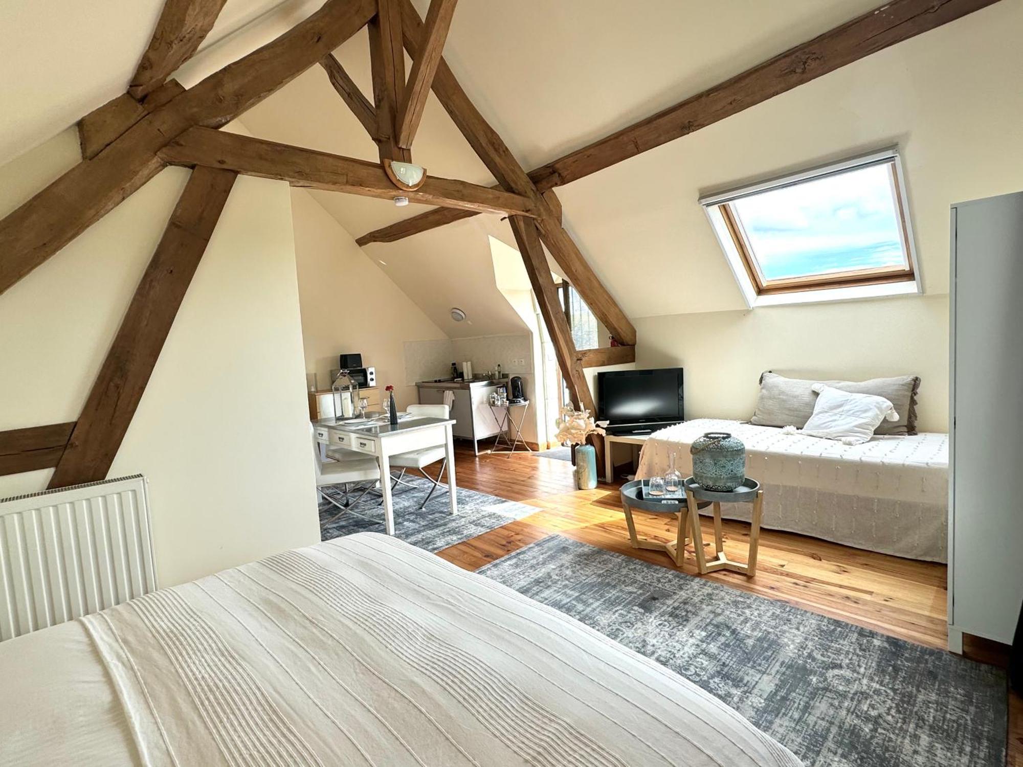 Le Moulin D Olivet Bed & Breakfast Orbigny Exterior foto