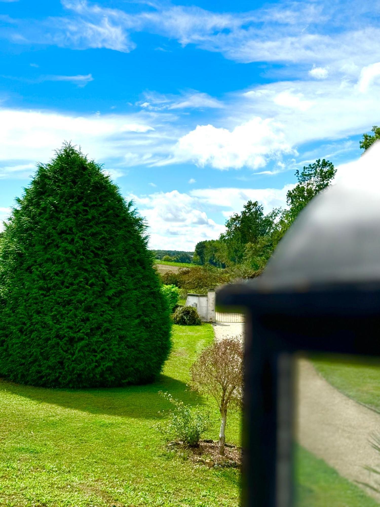Le Moulin D Olivet Bed & Breakfast Orbigny Exterior foto