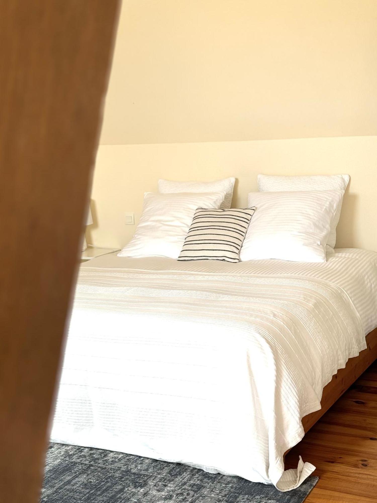 Le Moulin D Olivet Bed & Breakfast Orbigny Exterior foto