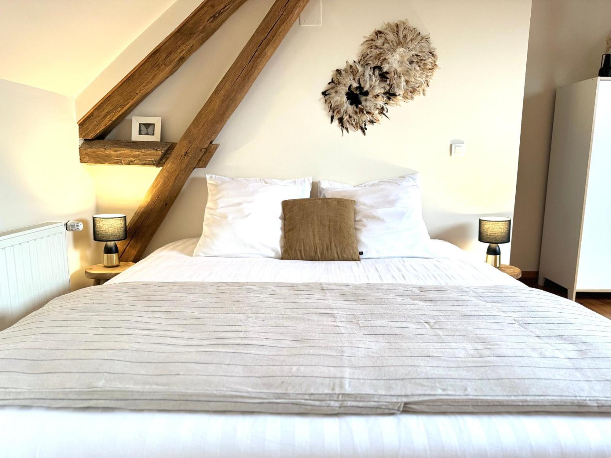 Le Moulin D Olivet Bed & Breakfast Orbigny Exterior foto