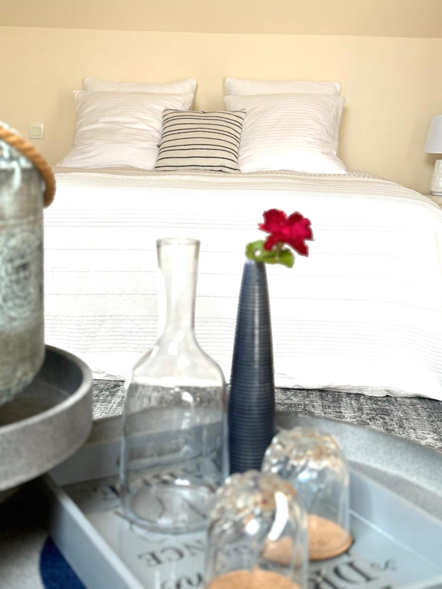 Le Moulin D Olivet Bed & Breakfast Orbigny Exterior foto