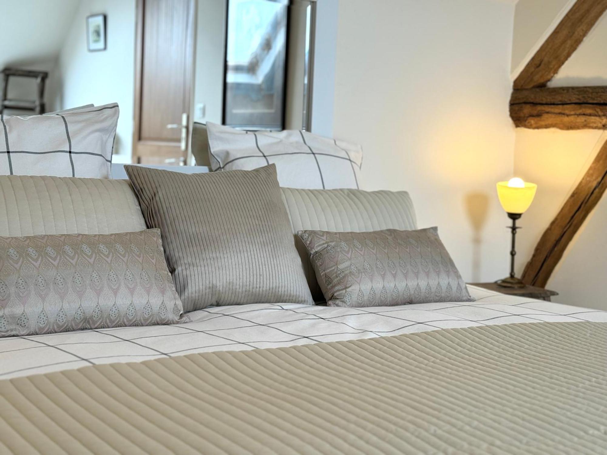 Le Moulin D Olivet Bed & Breakfast Orbigny Exterior foto